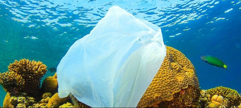Seaqual : la fibre qui dépollue les océans